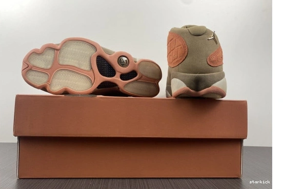 13 SEPIA X STONE JORDAN CANTEEN-TERRA AT3102-200 LOW AIR AT3102-200 CLOT BLUSH 0422